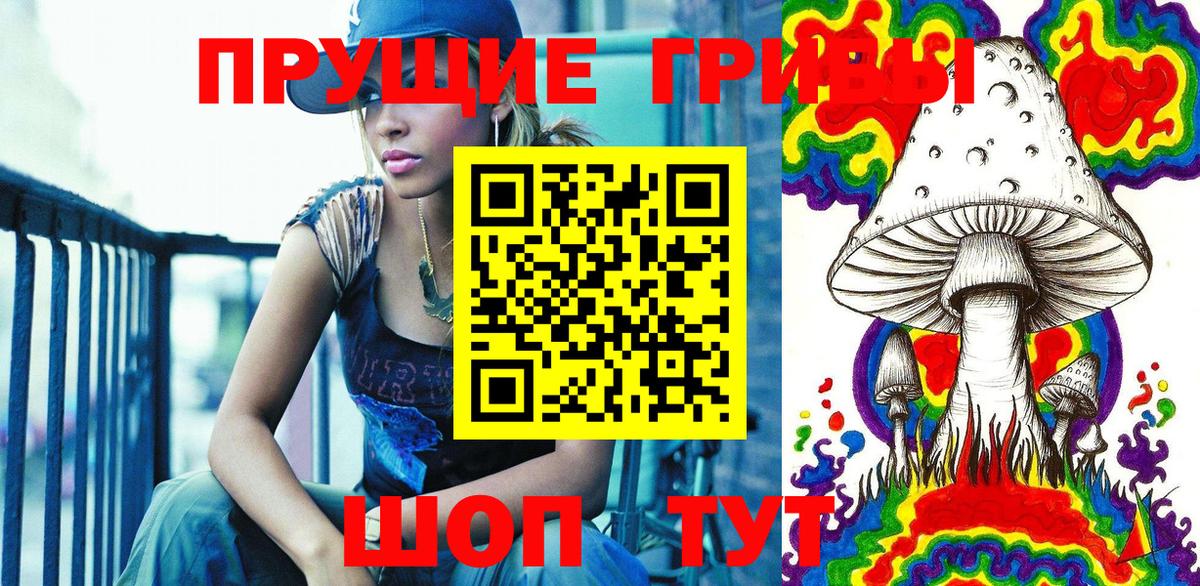 Галлюциногенные грибы Psilocybine cubensis  Вход с VPN  Коммунар 